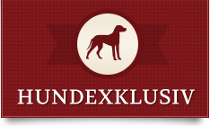 hundexklusiv So wird artgerechte Hundehaltung zum Kinderspiel