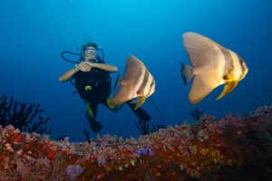 Hideaway-Beach-Maldives-diving-1-300x200 Hideaway-Water – das eigens produzierte Wasser des Hideaway Beach Resort & Spa auf den Malediven