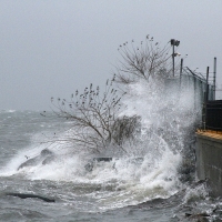 dts_image_5475_tkpnoftkgm Nach "Sandy": Zahl der Todesopfer steigt auf 137