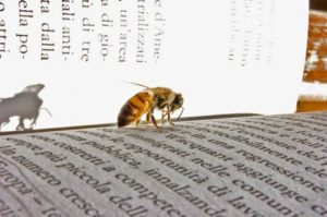 BuecherBiene-300x199 Bücher sind Bienen, die lebenszeugenden Blütenstaub von einem Geist zum andern tragen