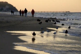 Seetel_Impressionen_08 Erholung und Spaß für Groß und Klein im SEETELHOTEL Familienresort Waldhof: Winterliche Familienauszeit inmitten weitläufiger Natur direkt am Nordstrand Usedoms