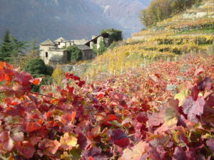 Arnad©TurismoValledAosta-300x225 Extremer Wein auf hohen Bergen