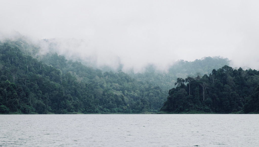 Belum-Rainforest Royal Belum: Eines der bestgehüteten Naturgeheimnisse Asiens