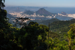 Trilha-Transcarioca-Floresta-Tijuca-Mesa-do-Imperador_Rio-de-Janeiro_cLuciola-Vilella-MTUR_Embratur-300x200 Diese Parks in Brasilien müssen Sie gesehen haben