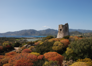 Nuraghe-©-Sardegna-Turismo-300x214 Sardinien verführt im Winter mit seiner Kulturlandschaft