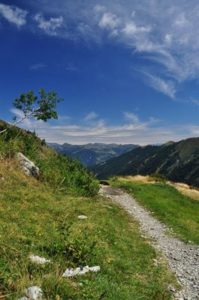 Wanderweg-Val-Grande-Roberto-Maggioni-199x300 25 Jahre Nationalpark Val Grande am Lago Maggiore