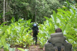 Jungle-Expedition_Ian-Craddock-002-300x200 Fit für den Dschungel – So präpariert man sich für den Trip durch Guyanas Regenwald – Phänomenale Erlebnisse mit nur 9 Kilo Gepäck