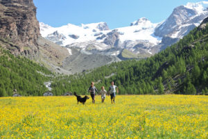 VALLE-DAOSTA-foto-Enrico-Romanzi-3115-300x200 Die norditalienische Urlaubsregion Aostatal engagiert sich vertieft auf dem deutschsprachigen Markt