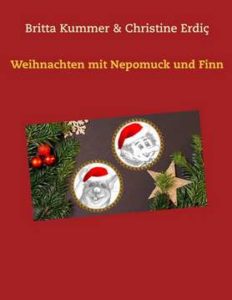 britta25-232x300 Leseprobe aus „Weihnachten mit Nepomuck und Finn“