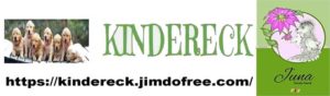 KindereckJuna_-300x88 Neues aus dem Kindereck