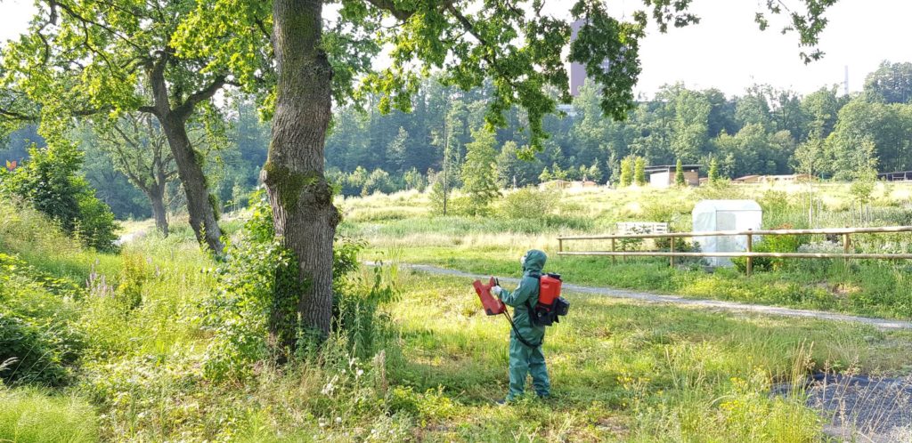 AS-1200_092950_HP-1024x498 Mit dem Akku-Sprühgebläse AS 1200 von Birchmeier den Eichenprozessionsspinner  bekämpfen