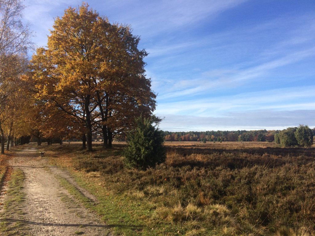 Heide-Herbst_k Auf den Spuren des Heidedichters Hermann Löns: Herbst-Auszeit und Entspannung pur im Ringhotel Sellhorn im Herzen der Lüneburger Heide