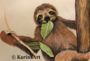 KennenTophKarinaVerlag-300x204 Kennen Sie Toph das Faultier aus dem Karina-Verlag?