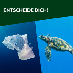 UFS_Knorr_Sustainability-1-300x300 Tschüss, Neuplastik: Knorr Professional stellt auf  recycelte Verpackungen um