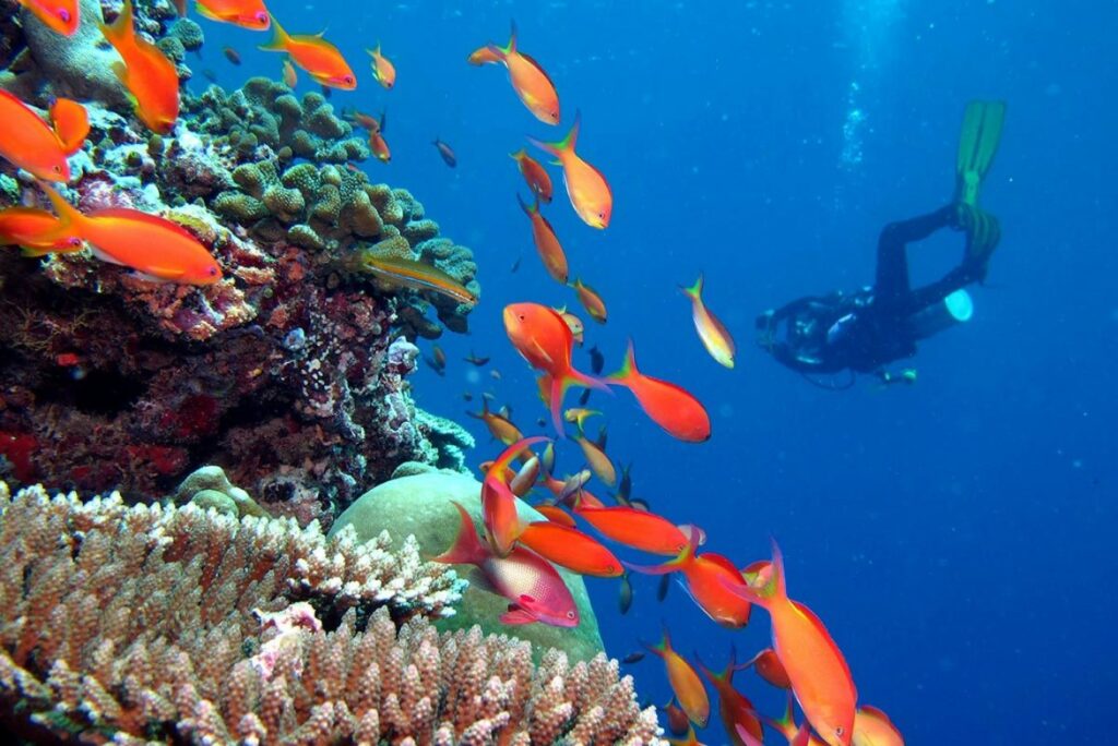 Kandima-Water-Sports-Diving_web-1024x684 Mehr Sicherheit für Taucher im Kandima Maldives dank eigener Dekompressionskammer