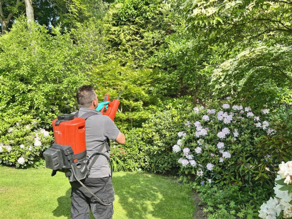 AS-1200_Schlieder_Apfelbaum_4241_1200-1024x768 Innovative Pflanzenschutztechnik in der privaten Gartenpflege