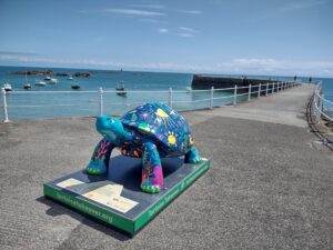 La-Rocque-Harbour2-300x225 “Naturwunder” auf Jersey – Skulpturenpfad auf der Kanalinsel präsentiert 50 Riesenschildkröten