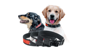 Feuerwear_Hunde-Halsband-Timmy_Produkt_-1-300x169 Nachhaltiges Accessoire aus Feuerwehrschlauch für den Hund: Halsband Timmy von Feuerwear