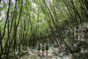 02-Via-delle-Sorelle_Parco-delle-Colline_ph-Alessio-Guitti-300x200 Auf historischen Wanderwegen durch die italienische Provinz Brescia